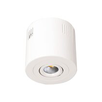 Ecostar Adjustable Surface Mounted 9W Dimmable LED Downlight White / Daylight - S9046SM DL WH