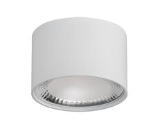 Nella 12W Round Fixed Surface Mounted Dali Dimmable LED Downlight White / Tri-Colour - HCP-8931204