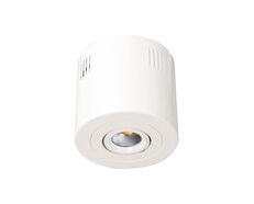 Ecostar Adjustable Surface Mounted 9W Dimmable LED Downlight White / Daylight - S9046SM DL WH