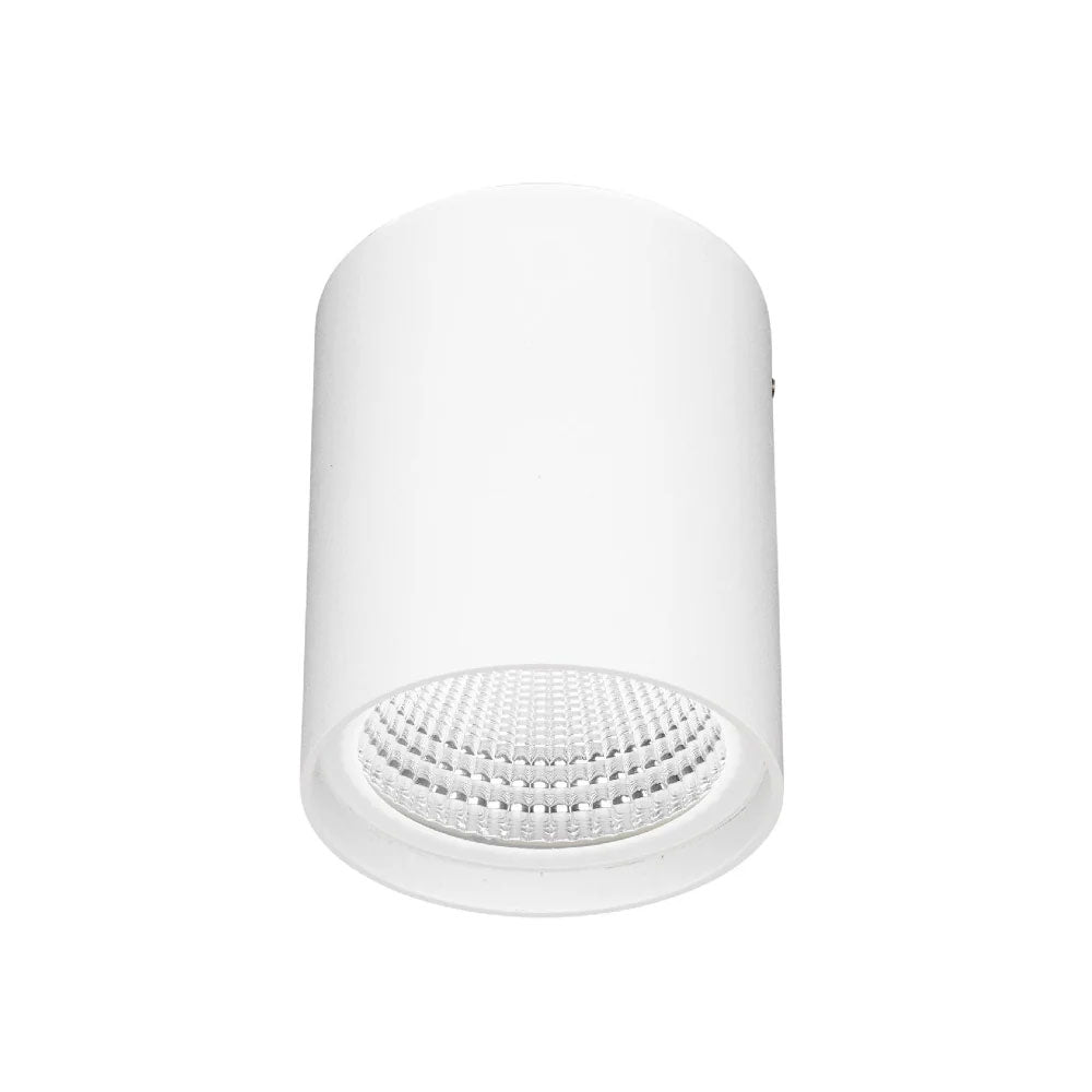 Anka 9W IP65 Surface Mounted LED Downlight White / Tri-Colour - 22551/05