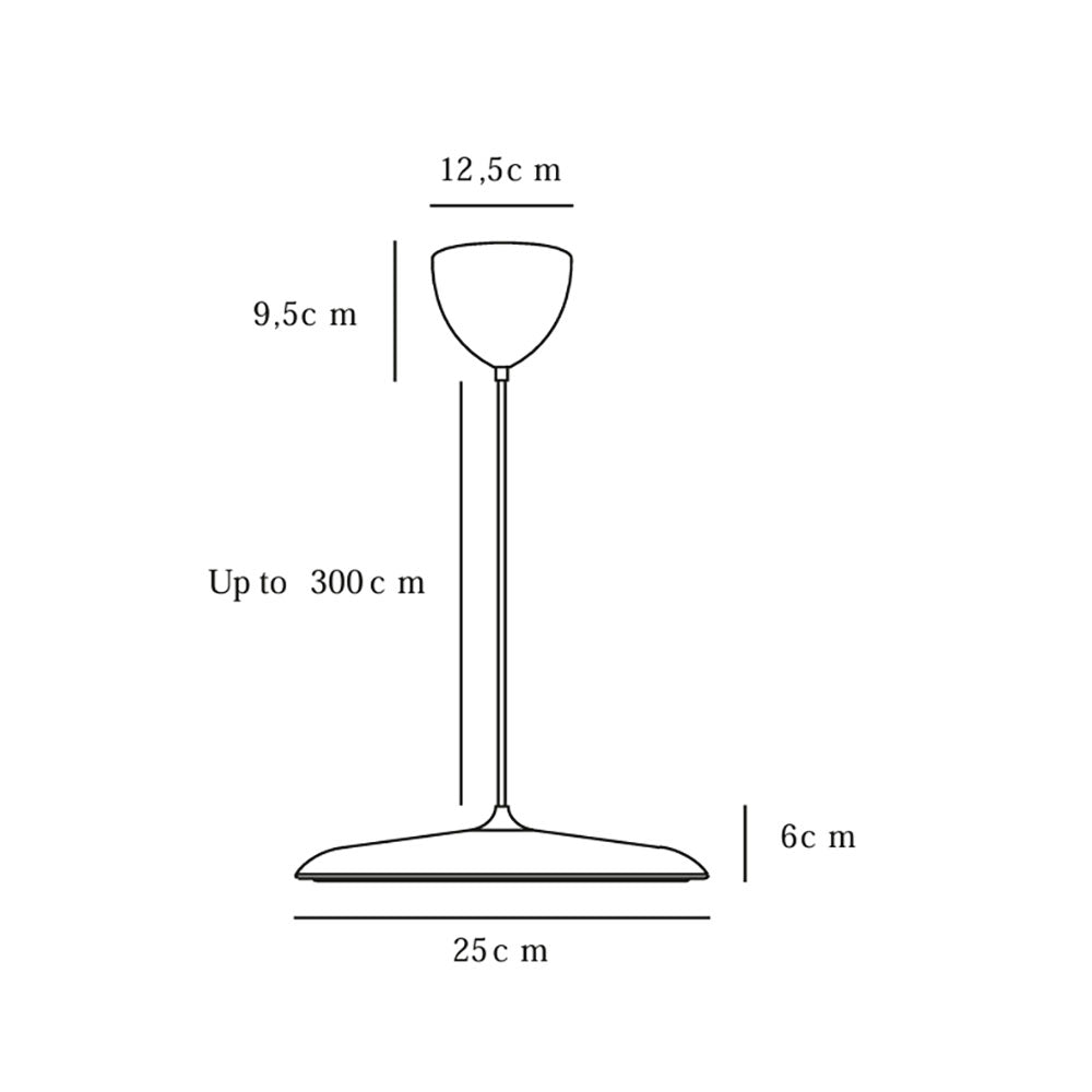 Artist 25 LED Pendant Stainless Steel - 2420203034