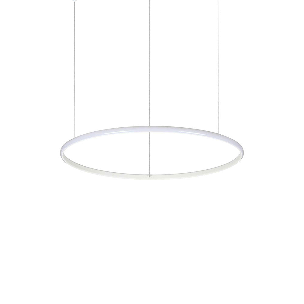 Hulahoop Sp 31W LED 610mm Ring Shaped Chandelier White / Warm White - 258775