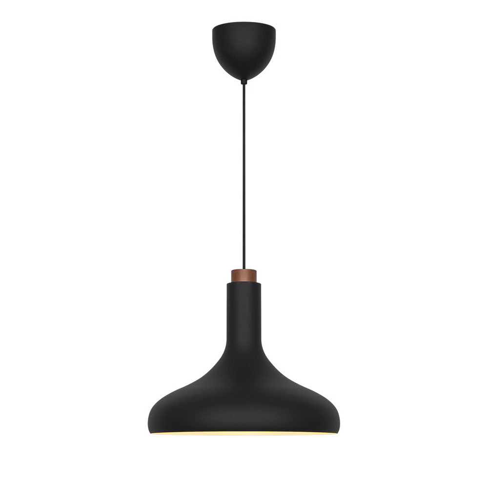 Fuji Pendant Black - 2620153003