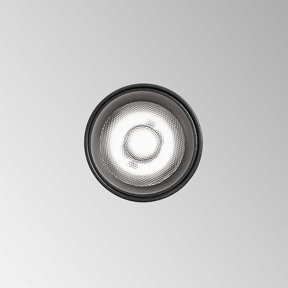 Ego Magnetic 12W LED Dimmable Pendant Track Light Black / Warm White - 303574