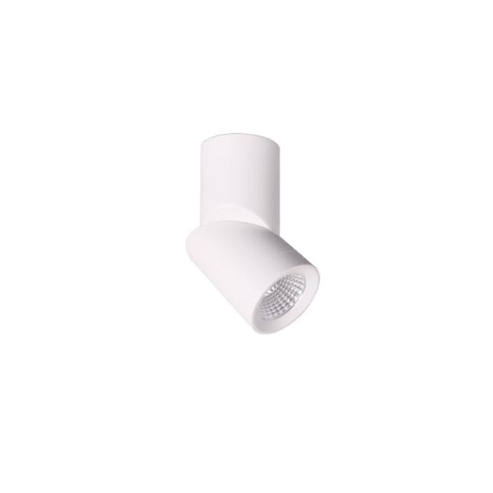 Propus 2 12W LED Adjustable Surface Mounted Downlight White / Natural White - DL2034/WH/NW