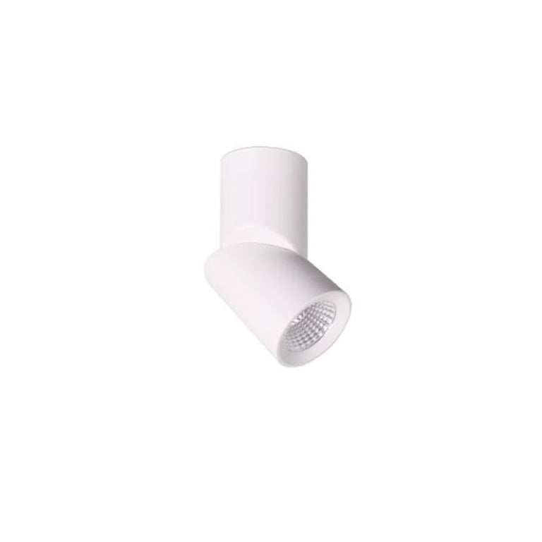 Propus 2 12W LED Adjustable Surface Mounted Downlight White / Warm White - DL2034/WH/WW