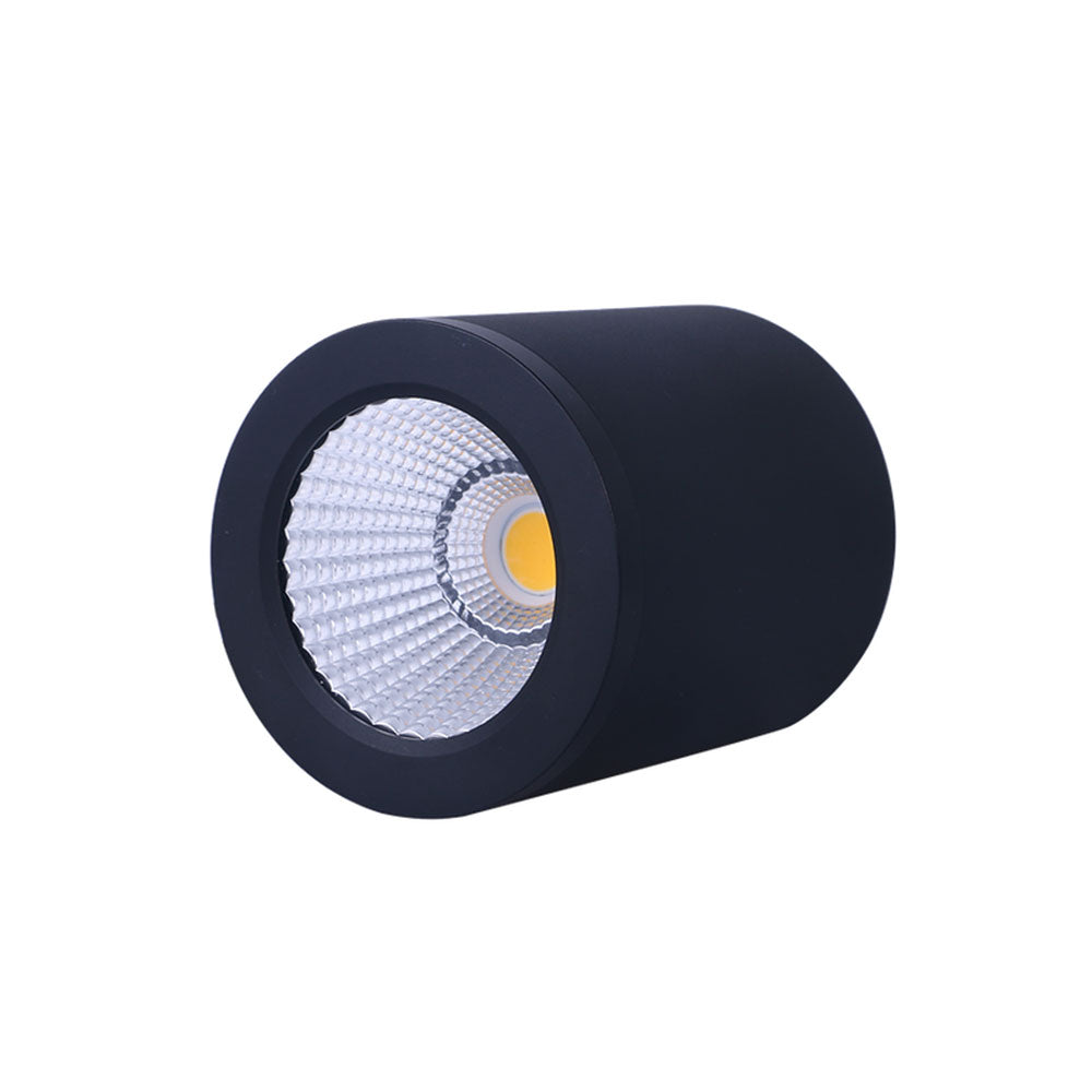 Propus 20W LED Dimmable Surface Mounted Downlight Black / Tri-Colour - DL2092/BK/TC