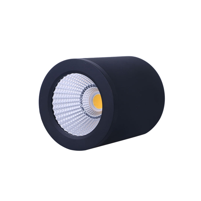 Propus 20W LED Dimmable Surface Mounted Downlight Black / Tri-Colour - DL2092/BK/TC