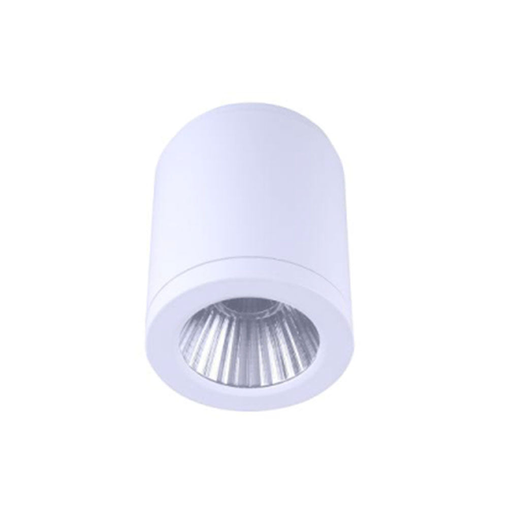 Propus 20W LED Dimmable Surface Mounted Downlight White / Tri-Colour - DL2092/WH/TC