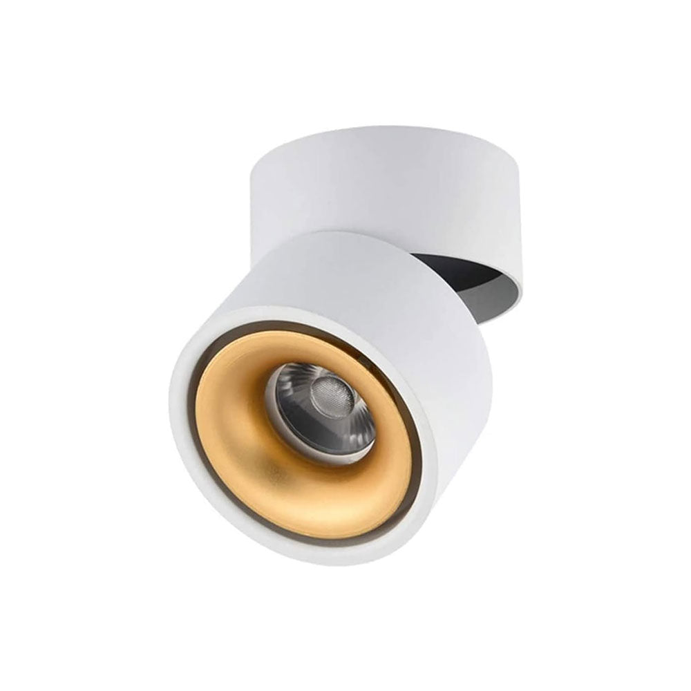 12W LED Adjustable Dimmable Surface Mounted Downlight White & Gold / Tri-Colour - DL3017-WHTC12C02G