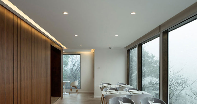 Firefly 8W Dimmable LED Downlight White / Tri-Colour - FIREFLY01A