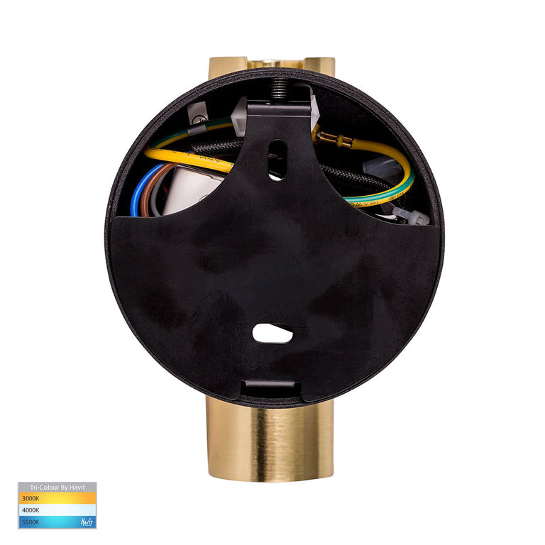 Lesen 5W CCT 240V LED Single Adjustable Wall Light Black / Brass - HV3689T-BLKBR