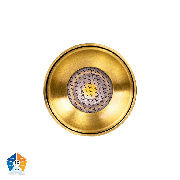 Nella Brass 7W Surface Mounted LED Downlight Brass - HV5841S-BR-12V