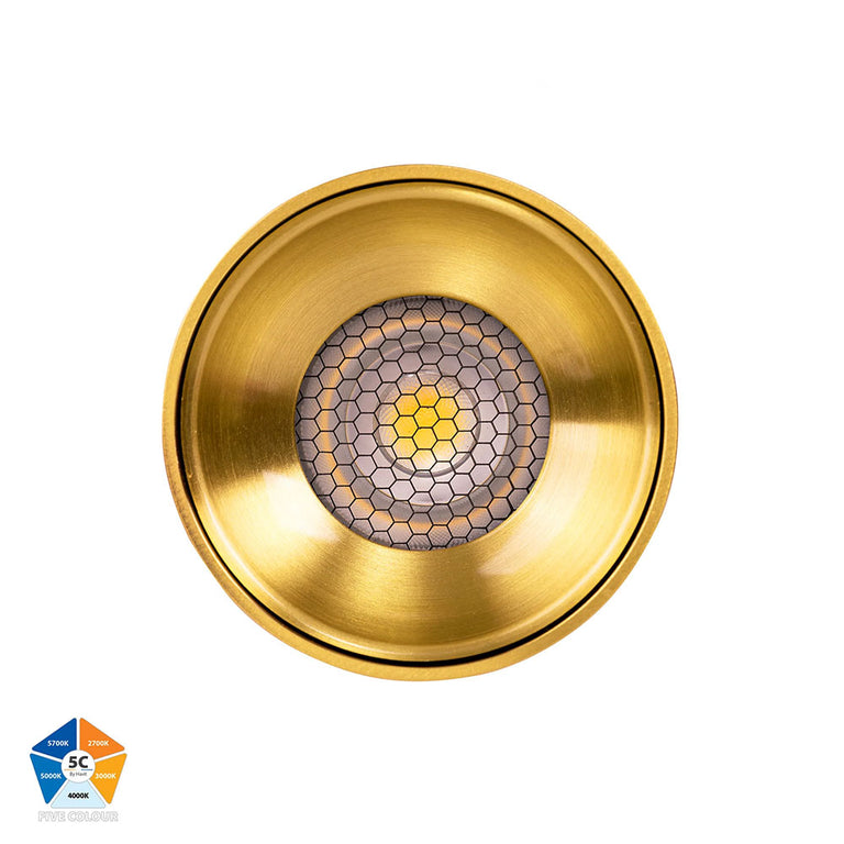 Nella Brass 12W Surface Mounted LED Downlight Brass - HV5842S-BR-12V
