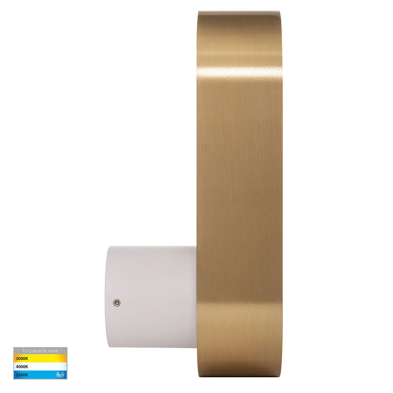 Ovale 7W CCT 240V LED Wall Light White & Brass - HV8080T-WHTBR