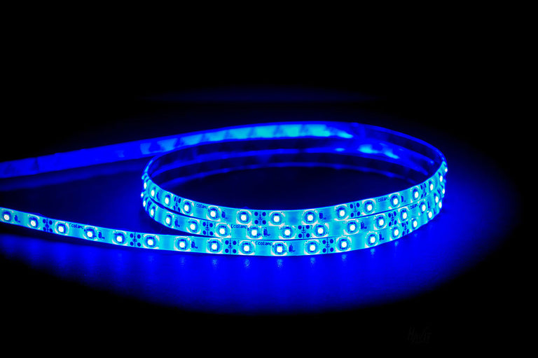 4.8W 12V DC Dimmable LED 10 Meter Roll Strip / Blue - HV9723-IP54-60-B