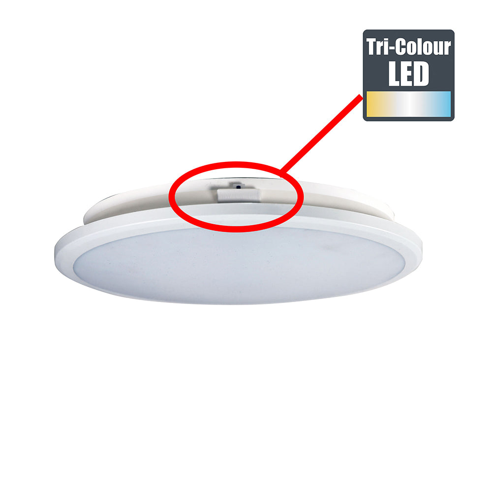 Omar.30 24W LED Dimmable Oyster White / Tri-Colour - LF6524WH