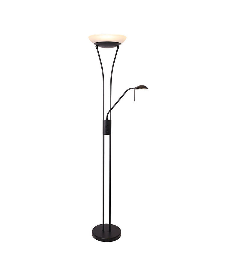 Reed 23W Mother & Child LED Floor Lamp Black - LL-LED-01B