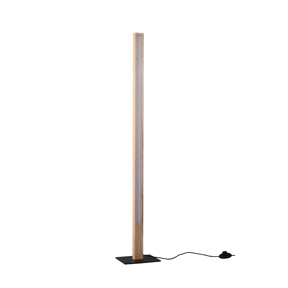 Rectara Floor Lamp - LL-LED-25
