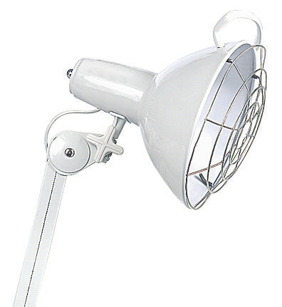 Clinical Equipoise Lamp White - LSH-WH