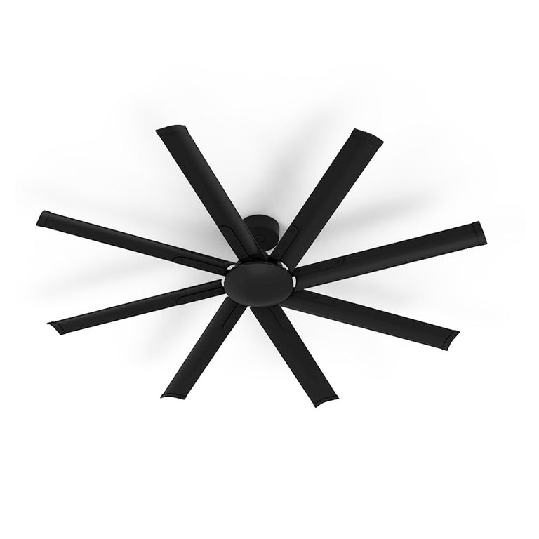 Mooloolah Mini 65" DC 8 Blade Ceiling Fan Black - MOOLOOLAH/MINI/65/BK
