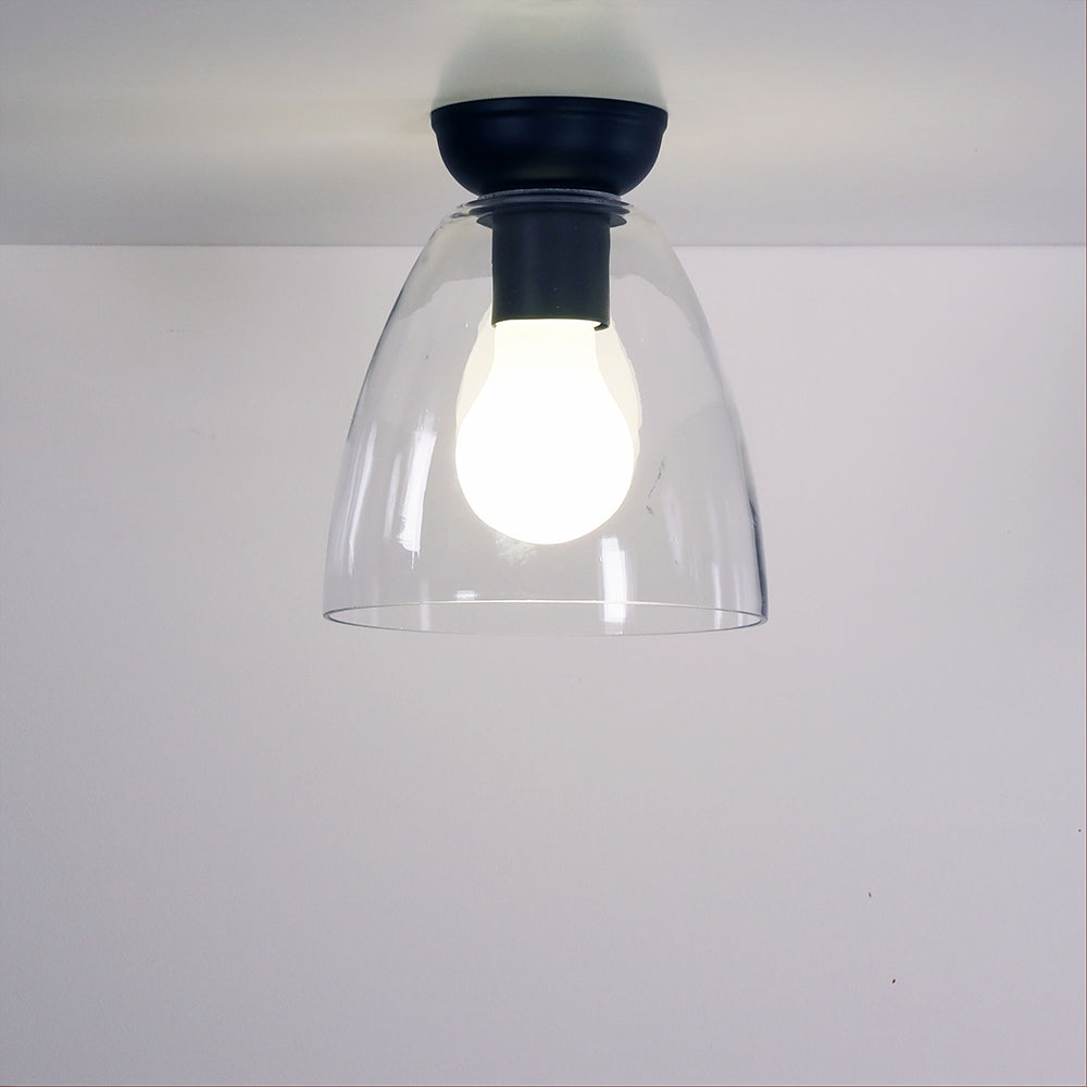 Warwick Clear Glass DIY Black - OL2258BK