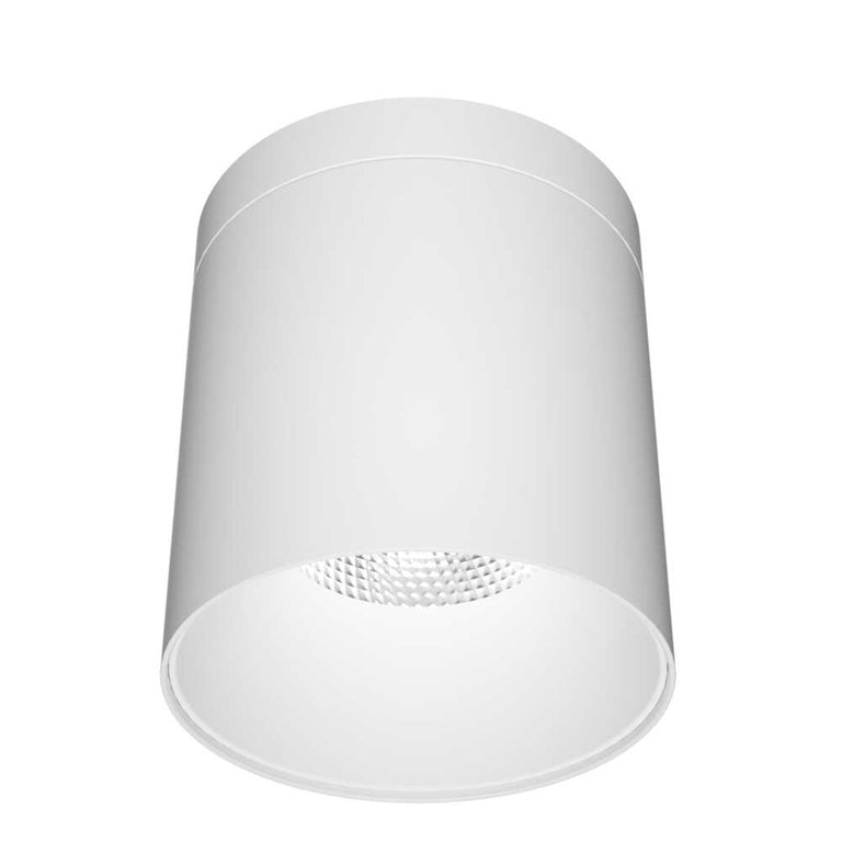 Airlee 30W IP65 Surface Mount Downlight White / Tri-Colour - S9605/85/30TC/WH