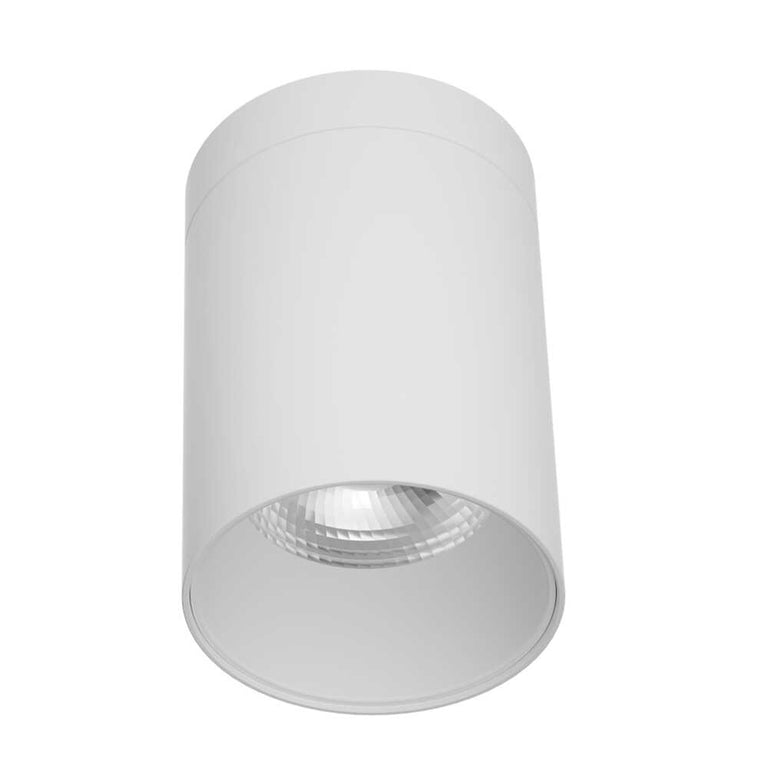 Airlee 15W IP65 Surface Mount Downlight White / Tri-Colour - S9605/85/15TC/WH
