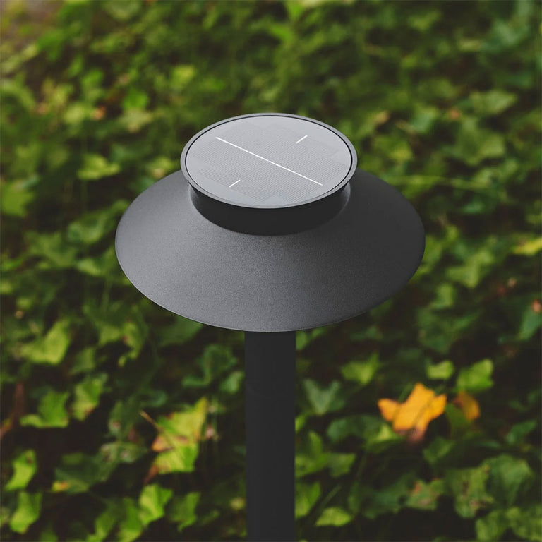 Justina LED Solar Garden Light Black - 2418098003