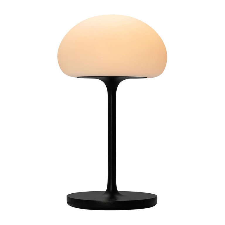 Sponge On A Stick LED Rechargeable Battery Light Black - 2320715003