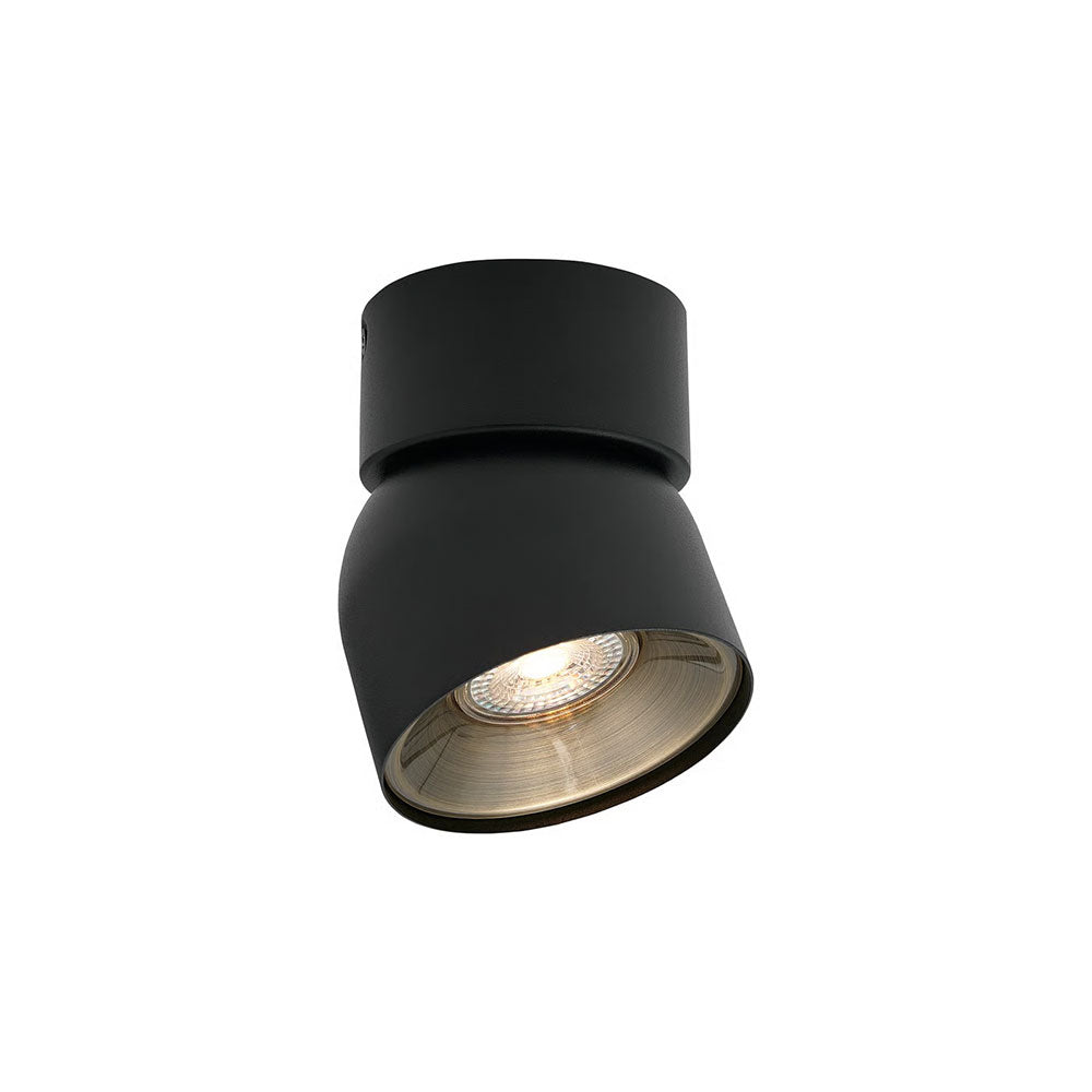 Pitcher Spot Light Black - 2310400103