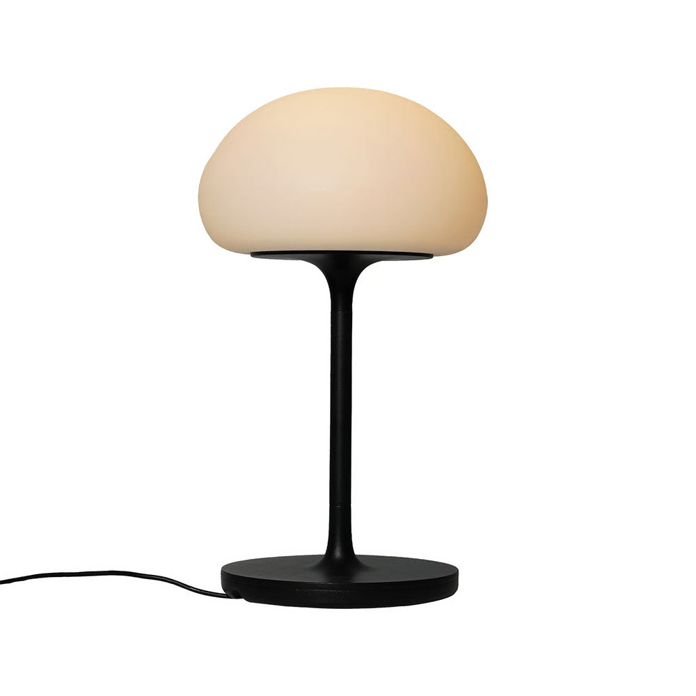 Sponge On A Stick LED Rechargeable Battery Light Black - 2320715003