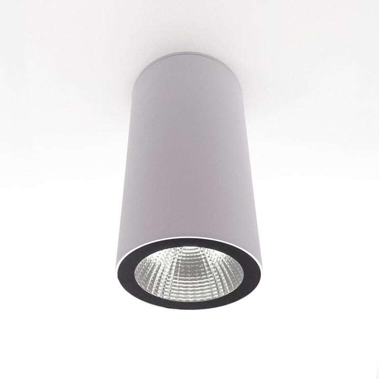 Arena 20W LED Dimmable High CRI Surface Mounted Downlight White / Warm White