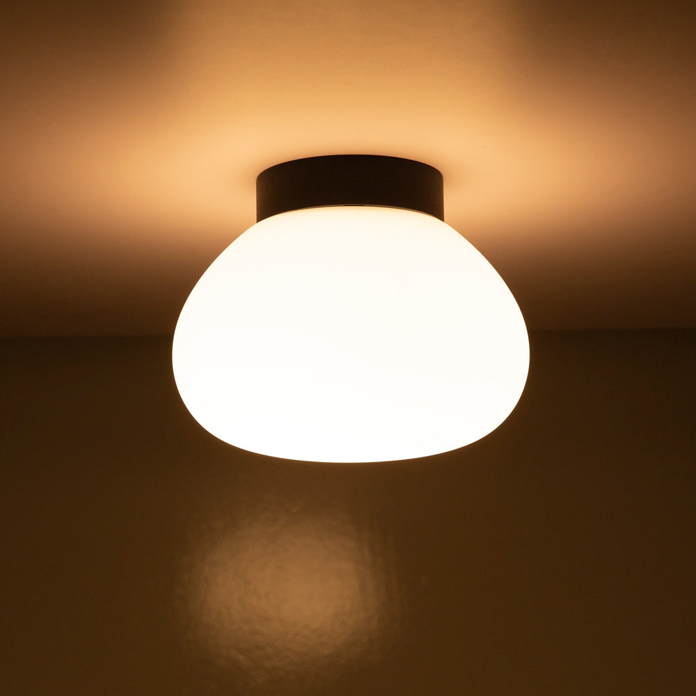 Lab Ball 140 LED Wall Light Black