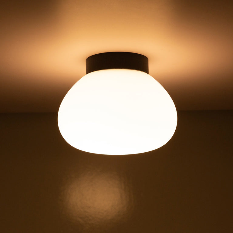 Lab Ball 140 LED Wall Light Black