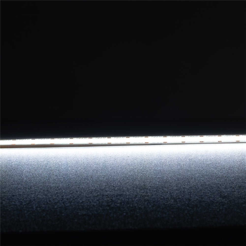 Plex-COB 10W 24V DC 50 Metre Dimmable LED Strip / White - 24033