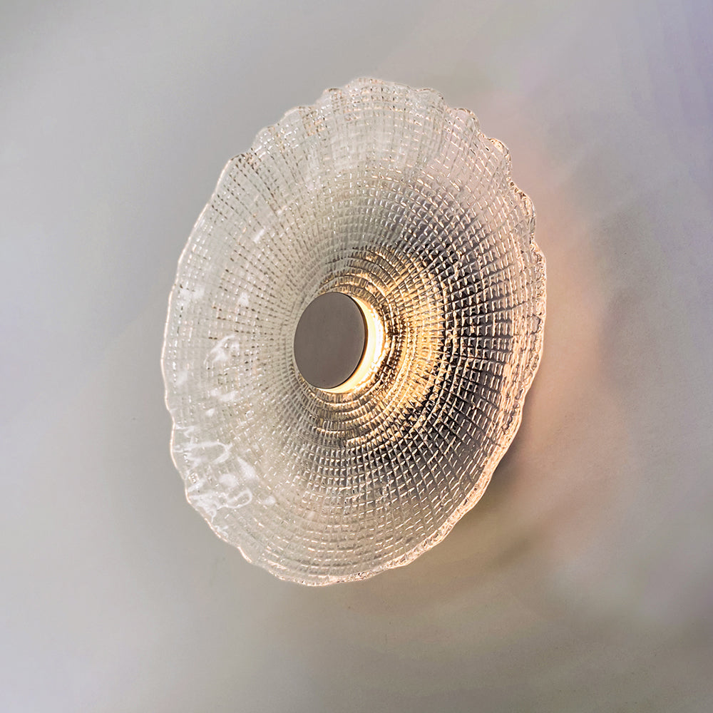 Shellic LED Wall Light Clear