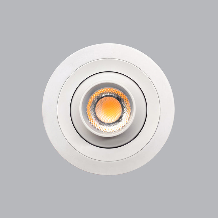 Zoom 8W LED Downlight White / Cool White