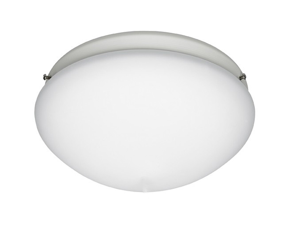 Outdoor Elements II Ceiling Fan Light 