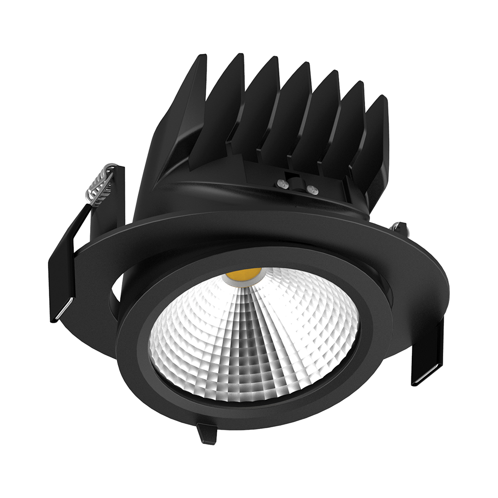 Scoop 25 Watt Dimmable Round LED Downlight Black / Warm