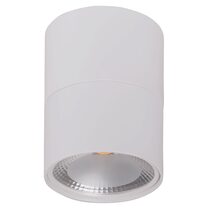Nella 12W Round Fixed Surface Mounted Dali Dimmable LED Downlight With Extension White / Tri-Colour - HCP-8931214