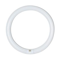 Circular T9 Fluorescent Tube 32W Cool White - CLAFCL32WCW