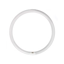 Circular T9 Fluorescent Tube 40W Cool White - CLAFCL40WCW
