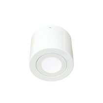 Ecogem 10W Dimmable LED Surface Mounted Downlight White Finish / Tri-Colour - S9041SM/C TC WH