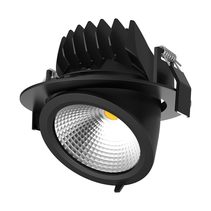 Scoop 25 Watt Dimmable Round LED Downlight Black / White - 20456