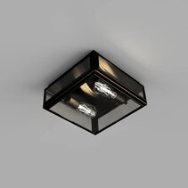 Lille 2 Light Ceiling Light Old Bronze / Clear IP44