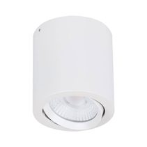 Neo 20W Dimmable Tilt Surface Mounted LED Downlight White / White - 21157