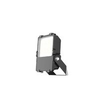 Commercial High Efficiency 100W LED Floodlight Black / Daylight - AT9814/100