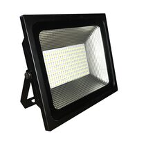 30W LED Dual Colour Flood Light With Remote - SLDFL30W