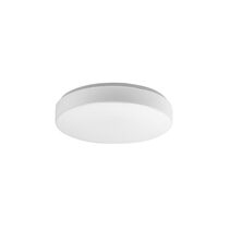 Opal Lens 24W LED Oyster Opal / Cool White - CL207-24
